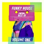 Best Of Funky House - Volume One
