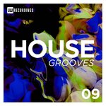 House Grooves, Vol 09