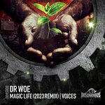 Magic Life (2023 Remix)/Voices