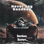 Never Say Goodbay