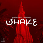 Shake (feat. Drew James)