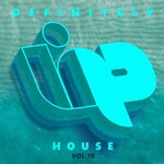 Definitely House, Vol 10