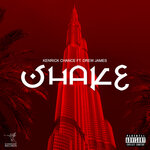 Shake (feat. Drew James) (Explicit)