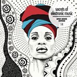 Secrets Of Electronic Music: Afro House Edition, Vol 14