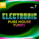 Electronic Pure House Tunes, Vol 7