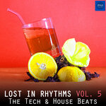 Lost In Rhythms, Vol 5 (The Tech & House Beats)