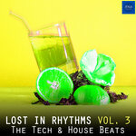 Lost In Rhythms, Vol 3 (The Tech & House Beats)