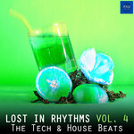 Lost In Rhythms, Vol 4 (The Tech & House Beats)