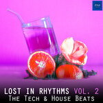 Lost In Rhythms, Vol 2 (The Tech & House Beats)