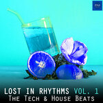 Lost In Rhythms, Vol 1 (The Tech & House Beats)