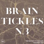 Brain Tickles N. 3 (Fine Selection Of House Music For Experts Only)