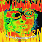 Too Much Sun Will Burn: The British Psychedelic Sounds Of 1967 Vol 2