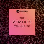 The Remixes, Vol 42