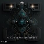 Variations And Connections, Vol 1
