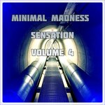 Minimal Madness Sensation, Vol 4 (Best Selection Of Minimal Club Tracks)