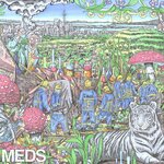 MEDS EP