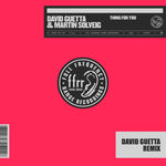 Thing For You (David Guetta Remix Extended) (Explicit)