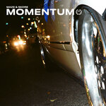 Momentum