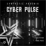 Cyber Pulse