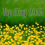 Top May 2023