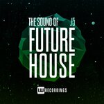 The Sound Of Future House, Vol 15