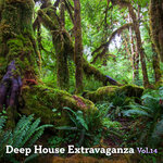 Deep House Extravanganza Vol 14