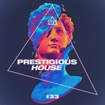 Prestigious House Vol 33