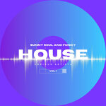 Sunny Soul And Funky House, Vol 1