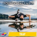 Aquatic Dreams IX