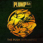 The Push (RePlumped)