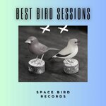 Best Bird Sessions