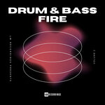 Drum & Bass Fire, Vol 02
