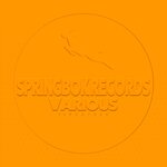 Spirngbok Records Various Signature