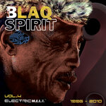 Blaq Spirit ElectricMelt 1996-2010, Vol 4