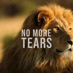 No More Tears