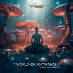 World Of Psytrance 11