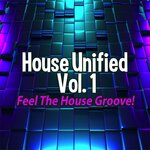 House Unified, Vol 1 - Feel The House Groove!