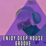 Enjoy Deep House Groove Vol 2 - Shiny House And Deep Grooves