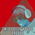 Enjoy Deep House Groove Vol 3 - Shiny House And Deep Grooves