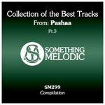 Collection Of The Best Tracks From: Pashaa, Part 3
