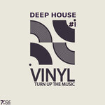 Deep House Vinyl Turn Up The Music Vol 1