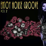 Enjoy House Groove Vol 2 - A Of The Finest House Music