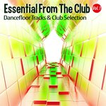 Essential From The Club, Vol 1 - Dancefloor S & Club Selection