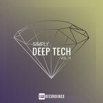 Simply Deep Tech, Vol 11