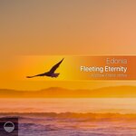 Fleeting Eternity (Andrew Frenir Remix)