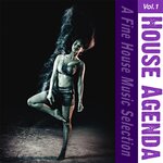 House Agenda Vol 1 - A Fine House Music Selection