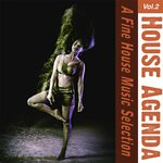 House Agenda Vol 2 - A Fine House Music Selection