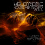 Melotronic House And Techno, Vol 4