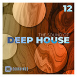 The Sound Of Deep House, Vol 12