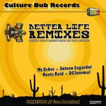 Better Life (Remixes)